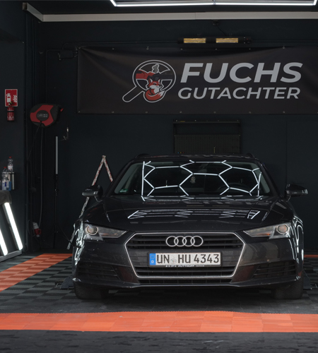 fuchs gutachter 1